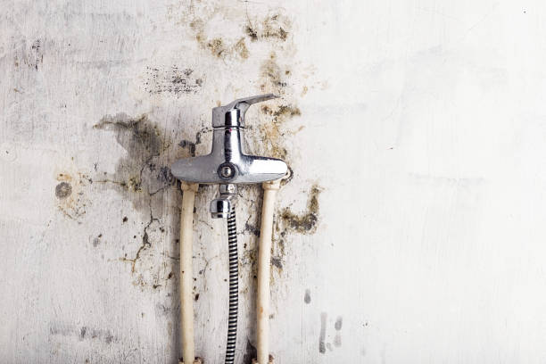 Best Fast Mold Removal  in Nicoma Park, OK