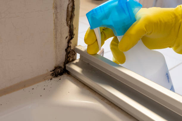 Best Office Mold Removal Services  in Nicoma Park, OK