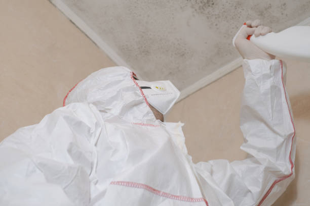 Best Fast Mold Removal  in Nicoma Park, OK