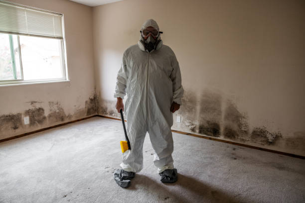 Best Crawl Space Mold Removal  in Nicoma Park, OK